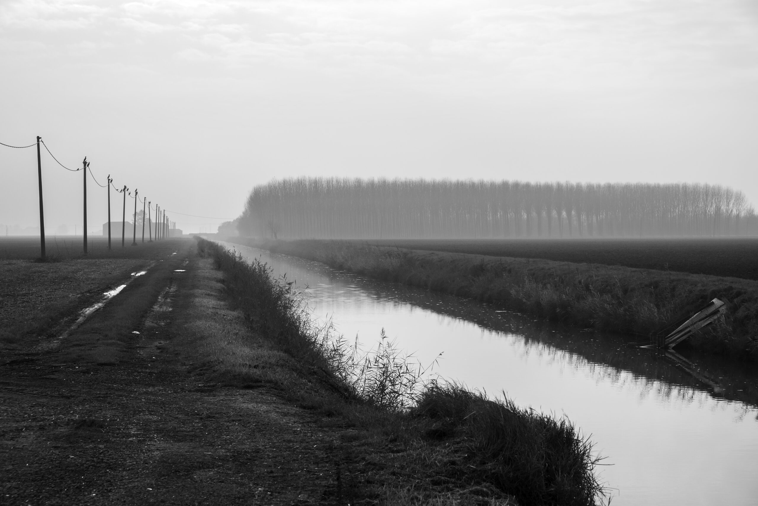 Alberto Trabatti - "Com'era l'autunno" - Stampa fotografica cm. 18x27